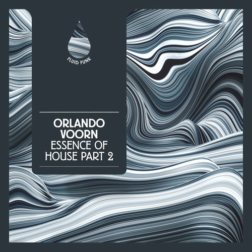 Orlando Voorn - Essence of House Part 2 [FFD013]